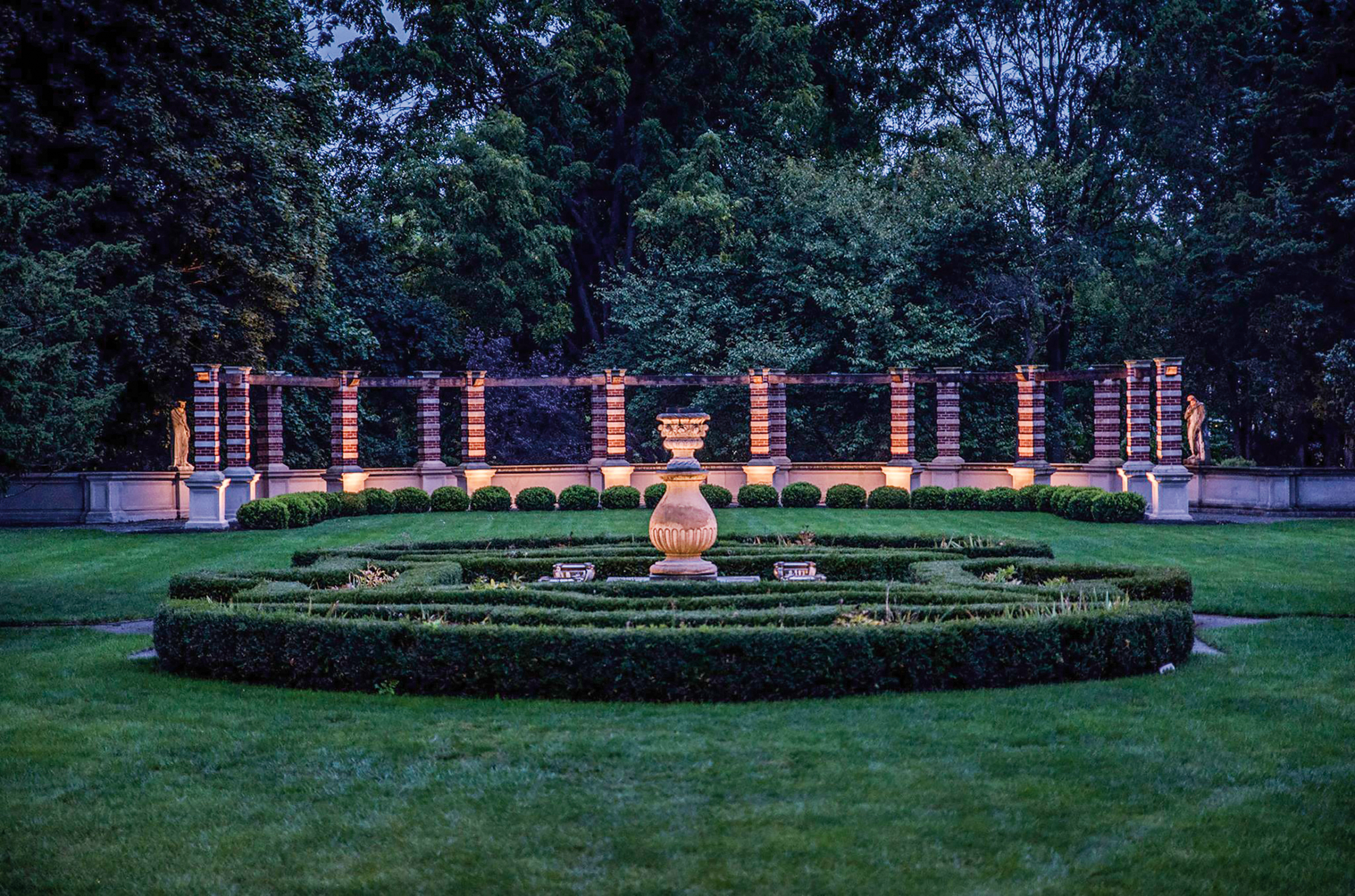 A garden at twilight.