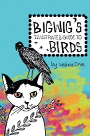 Book cover of Bigwig’s Illustrated Guide to Birds