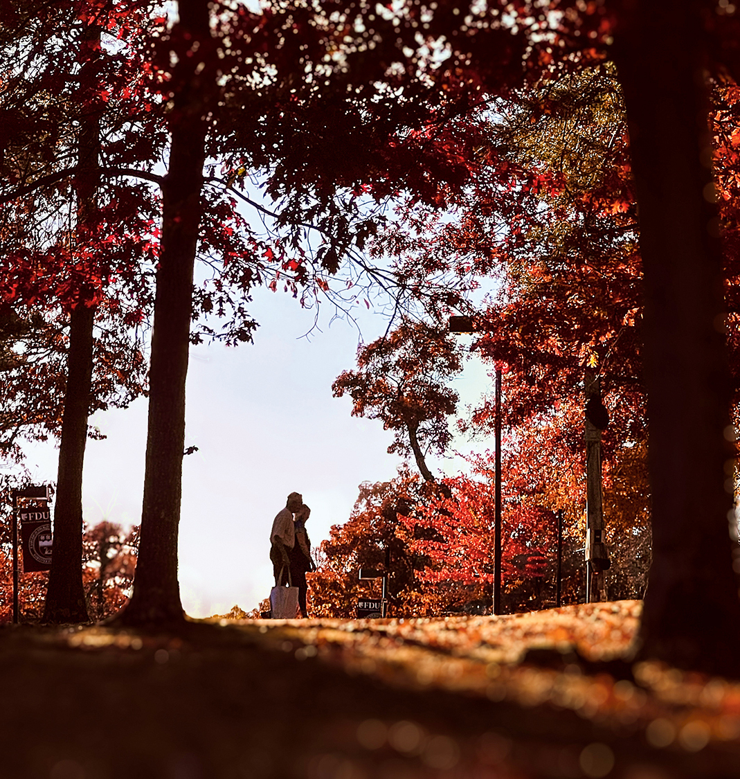 Two people, in shadows, take a stroll on the Florham Campus in fall, as sunlight streams through the orange leaves and trees.