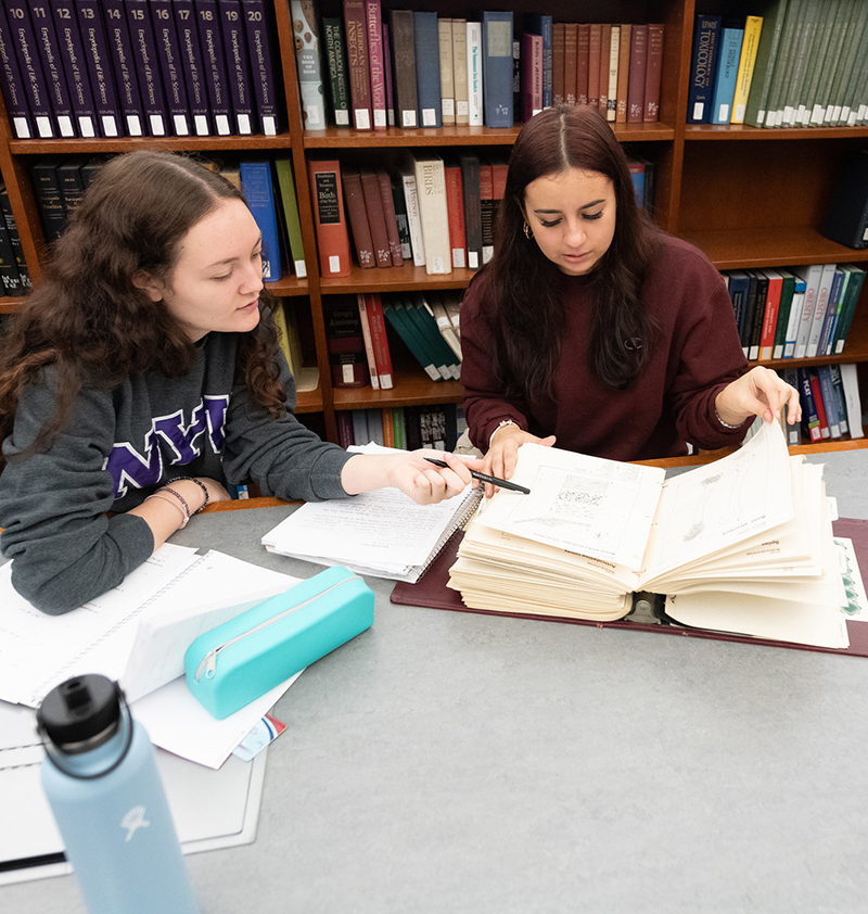 Two female students study in the library.