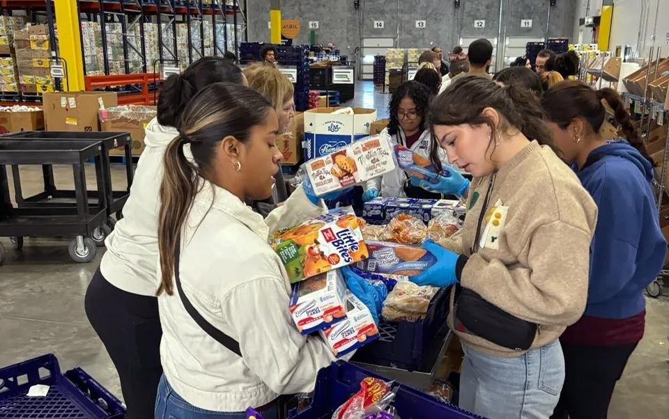 A group of volunteers sort food donations.